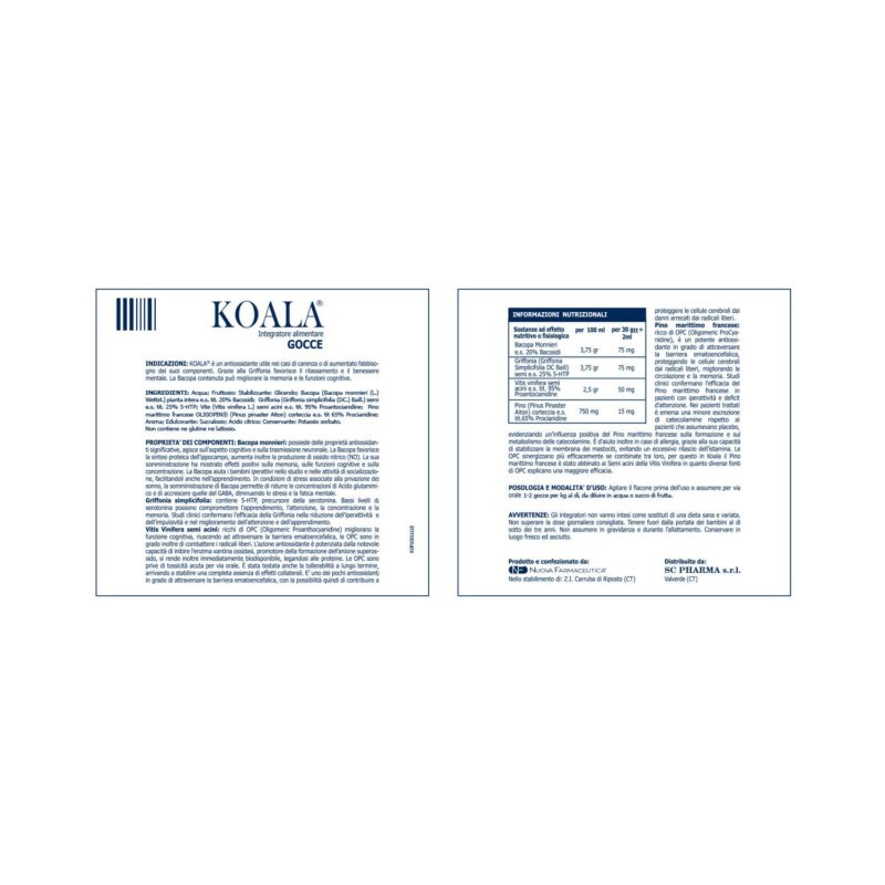 Koala - immagine 4